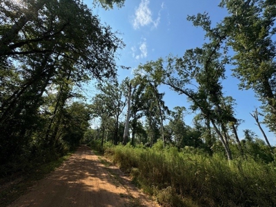 359 Acres For Sale in Hughes Springs Texas - image 17