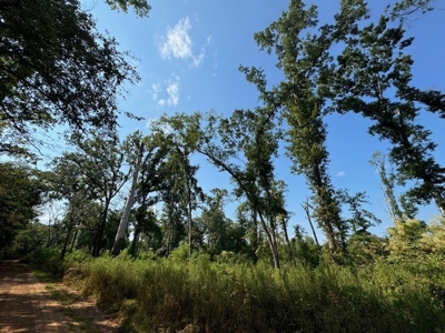 359 Acres For Sale in Hughes Springs Texas - image 18