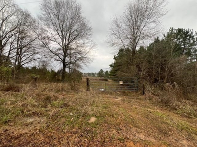 359 Acres For Sale in Hughes Springs Texas - image 2