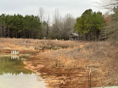 359 Acres For Sale in Hughes Springs Texas - image 8