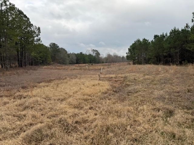 359 Acres For Sale in Hughes Springs Texas - image 11