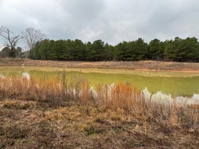 359 Acres For Sale in Hughes Springs Texas - image 6