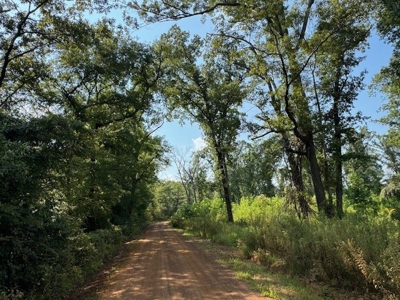 359 Acres For Sale in Hughes Springs Texas - image 15
