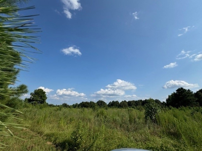 359 Acres For Sale in Hughes Springs Texas - image 31