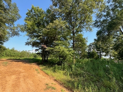 359 Acres For Sale in Hughes Springs Texas - image 26