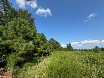 359 Acres For Sale in Hughes Springs Texas - image 30