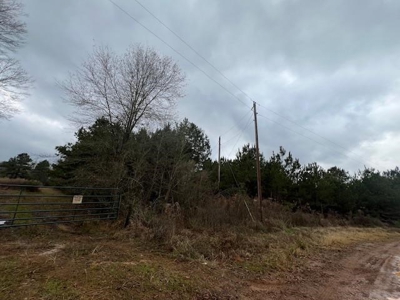 359 Acres For Sale in Hughes Springs Texas - image 3
