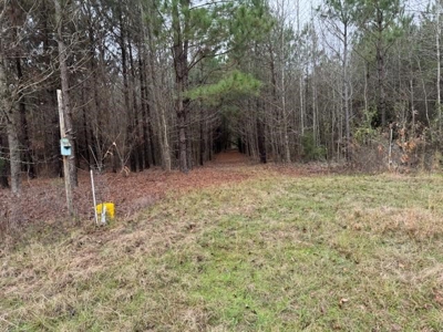 359 Acres For Sale in Hughes Springs Texas - image 10
