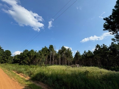 359 Acres For Sale in Hughes Springs Texas - image 33