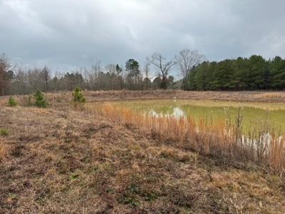 359 Acres For Sale in Hughes Springs Texas - image 7