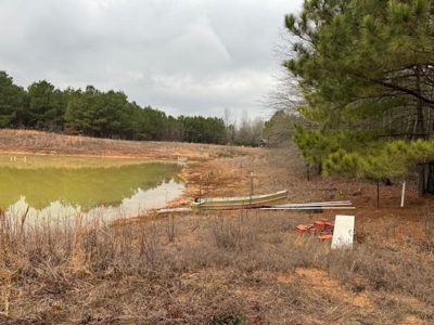 359 Acres For Sale in Hughes Springs Texas - image 5