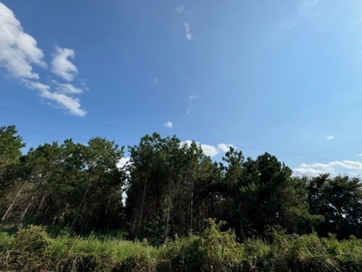 359 Acres For Sale in Hughes Springs Texas - image 20