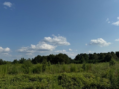 359 Acres For Sale in Hughes Springs Texas - image 29