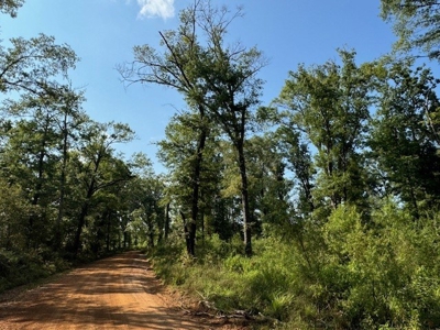 359 Acres For Sale in Hughes Springs Texas - image 14