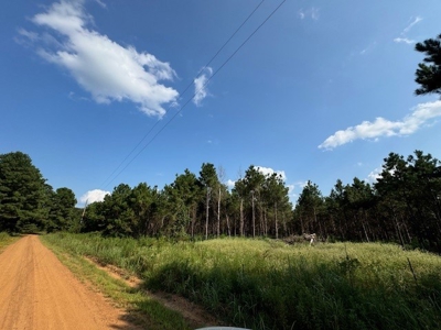 359 Acres For Sale in Hughes Springs Texas - image 32