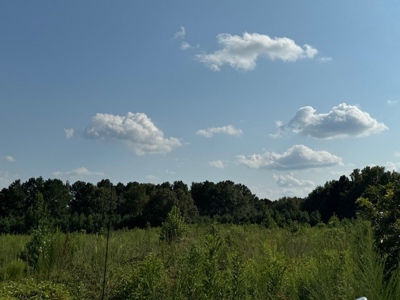 359 Acres For Sale in Hughes Springs Texas - image 28