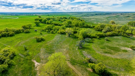 Dodson Creek Ranch - Cattle Grazing with Irrigated Acres - image 14