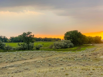 Dodson Creek Ranch - Cattle Grazing with Irrigated Acres - image 35