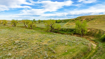 Dodson Creek Ranch - Cattle Grazing with Irrigated Acres - image 29