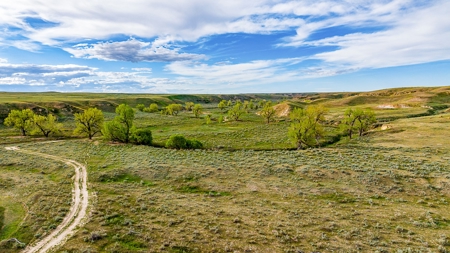 Dodson Creek Ranch - Cattle Grazing with Irrigated Acres - image 20