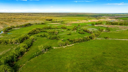 Dodson Creek Ranch - Cattle Grazing with Irrigated Acres - image 11