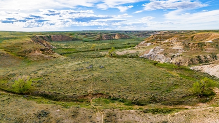 Dodson Creek Ranch - Cattle Grazing with Irrigated Acres - image 25