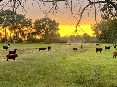 Dodson Creek Ranch - Cattle Grazing with Irrigated Acres - image 39