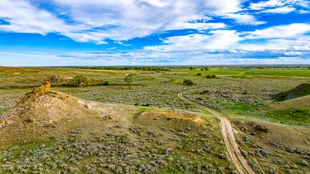 Dodson Creek Ranch - Cattle Grazing with Irrigated Acres - image 19