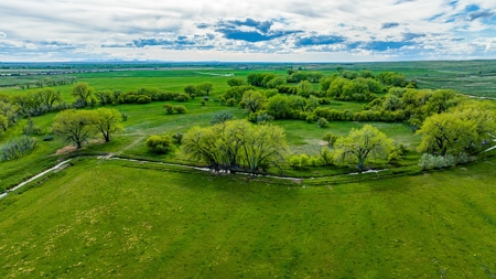 Dodson Creek Ranch - Cattle Grazing with Irrigated Acres - image 17