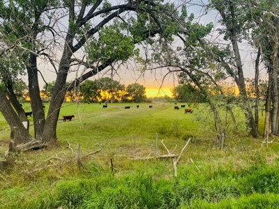 Dodson Creek Ranch - Cattle Grazing with Irrigated Acres - image 37