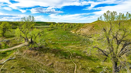 Dodson Creek Ranch - Cattle Grazing with Irrigated Acres - image 22