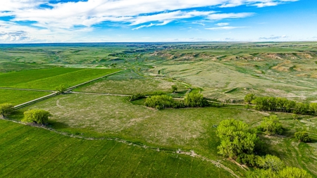Dodson Creek Ranch - Cattle Grazing with Irrigated Acres - image 12