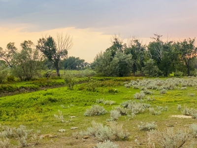 Dodson Creek Ranch - Cattle Grazing with Irrigated Acres - image 36