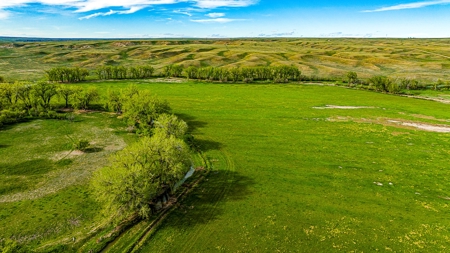 Dodson Creek Ranch - Cattle Grazing with Irrigated Acres - image 13