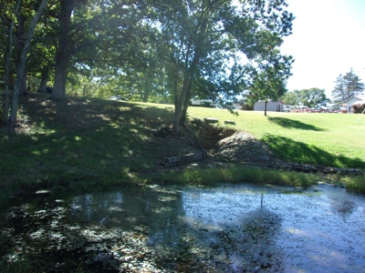 31 Acres m/l nestled on prestine countryside w/ country home - image 8