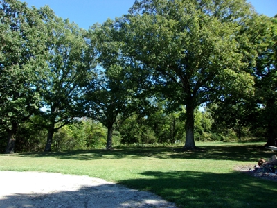 31 Acres m/l nestled on prestine countryside w/ country home - image 7