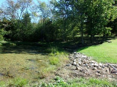31 Acres m/l nestled on prestine countryside w/ country home - image 9