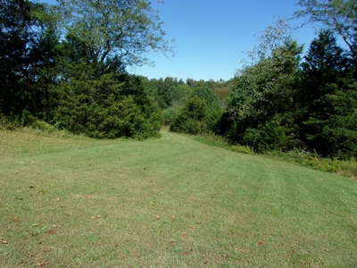 31 Acres m/l nestled on prestine countryside w/ country home - image 10