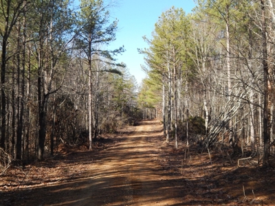 Tn. Recreational Paradise with Hunting and River Frontage! - image 5