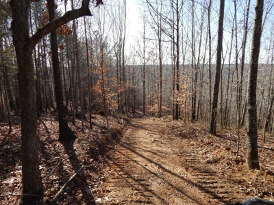 Tn. Recreational Paradise with Hunting and River Frontage! - image 24