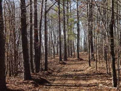 Tn. Recreational Paradise with Hunting and River Frontage! - image 19