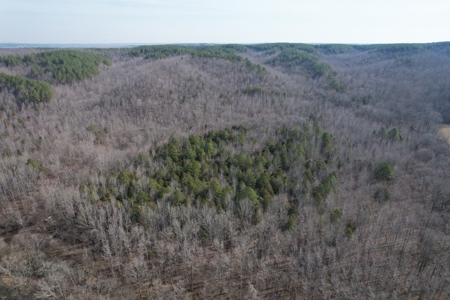 Tn. Recreational Paradise with Hunting and River Frontage! - image 46