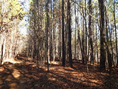 Tn. Recreational Paradise with Hunting and River Frontage! - image 7