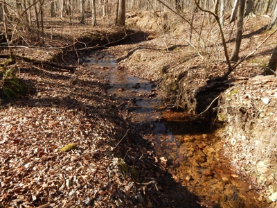 Tn. Recreational Paradise with Hunting and River Frontage! - image 26