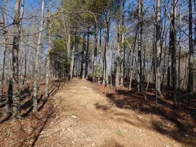 Tn. Recreational Paradise with Hunting and River Frontage! - image 22
