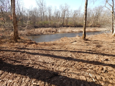 Tn. Recreational Paradise with Hunting and River Frontage! - image 9