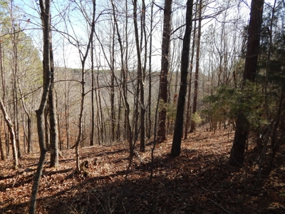 Tn. Recreational Paradise with Hunting and River Frontage! - image 16