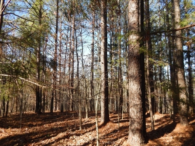 Tn. Recreational Paradise with Hunting and River Frontage! - image 14