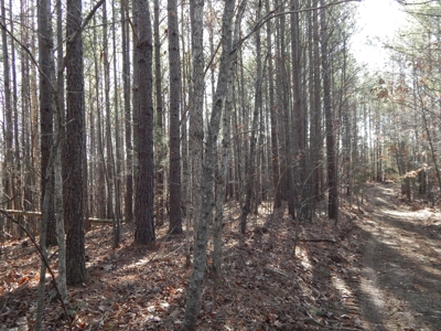 Tn. Recreational Paradise with Hunting and River Frontage! - image 6