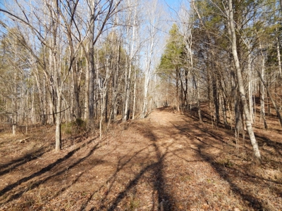 Tn. Recreational Paradise with Hunting and River Frontage! - image 27
